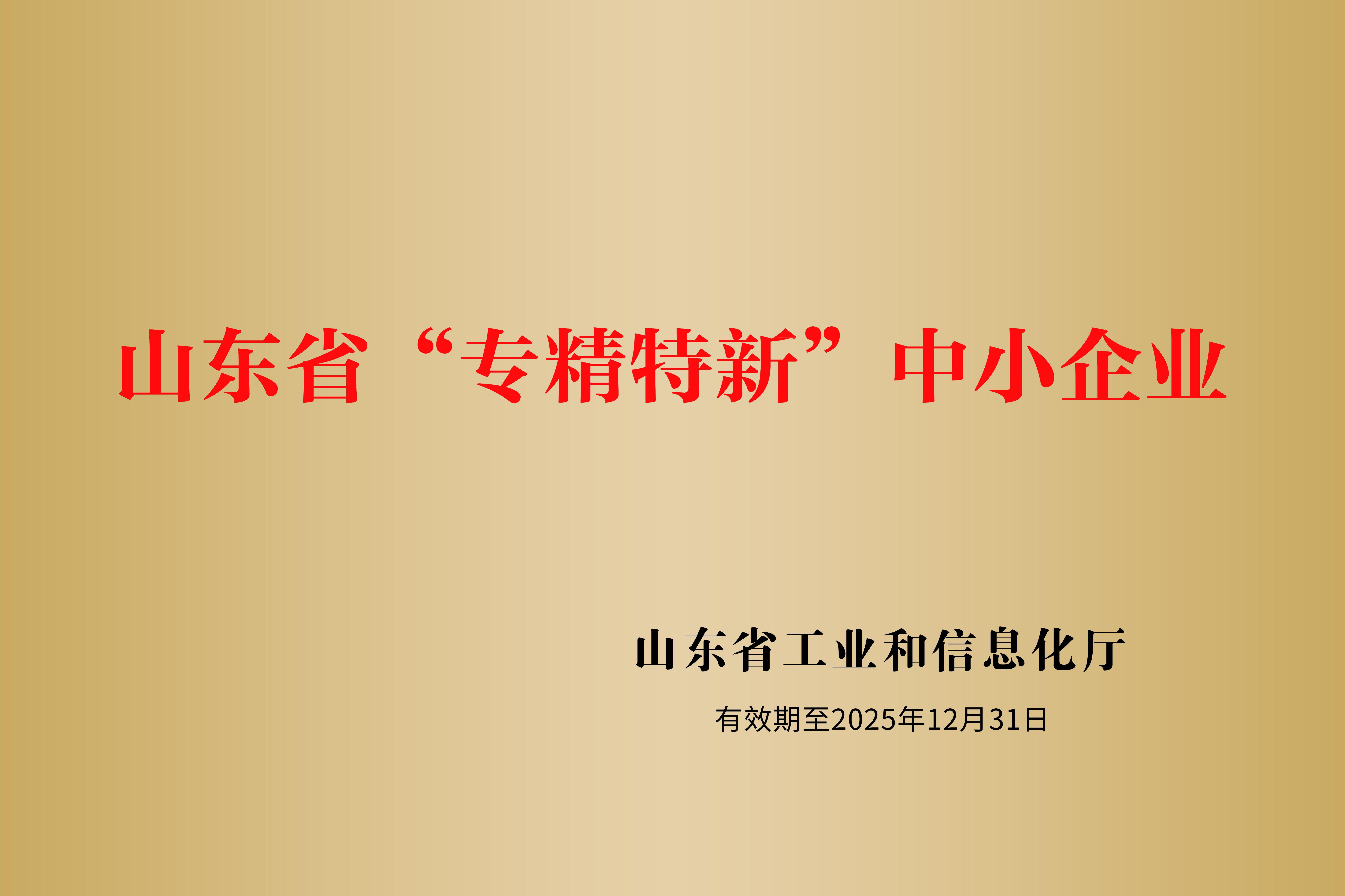 山東省專精特新企業(yè)證書(shū).jpg